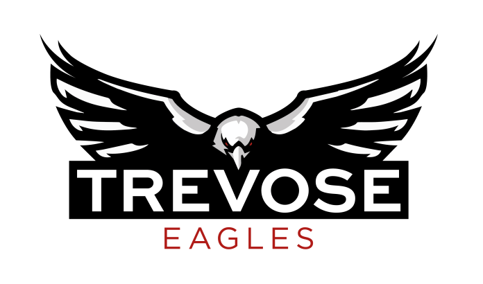 The Trevose Eagles - flying high